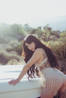 Reed In Sunset Detour