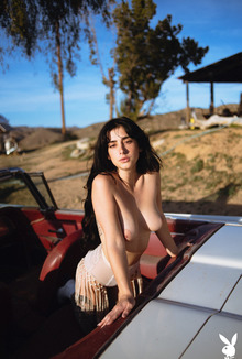 Reed In Sunset Detour